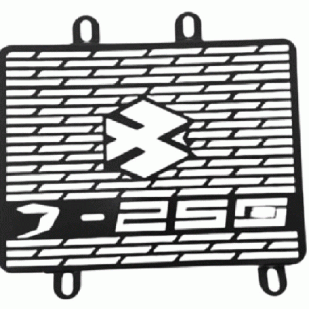 dominar-250-radyator-koruma-demiri
