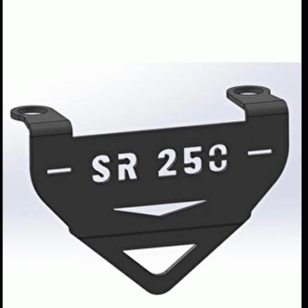 sr-250-kaliper-koruma